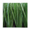 UVweerstand 50mm Synthetisch Gras voor Voetbalgebieden