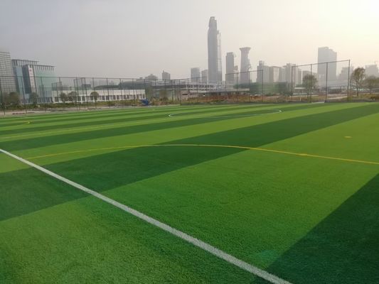 Cỏ nhân tạo Futsal tổng hợp hai màu chống cháy cho bóng đá trên sân