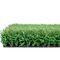 30mm künstlicher Gras-Fußballplatz-nicht Einfüllen-Sport