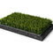 주문 제작된 인공 먹이풀 비 축구와 축구장을 위한 잔디를 충전합니다