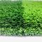 La hierba artificial al aire libre sintética para campo de fútbol 25m m 30m m 35m m