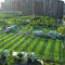 Verde artificial del campo de la hierba 50m m PE del fútbol al aire libre del cuarto de niños