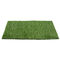 Decoration Artificial Turf For Residential Yards 12mm PP