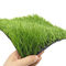 Résistance UV 5/8inch du football de biens artificiels synthétiques de l'herbe 50mm