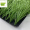 El monofilamento artificial del césped 50m m PE de la hierba del fútbol durable del fútbol cuenta un cuento 170 S/M