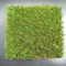 จัดสวนหลังบ้าน หญ้าเทียม หญ้าเทียม สำหรับงานอีเว้นท์ 55mm PE 130 / M